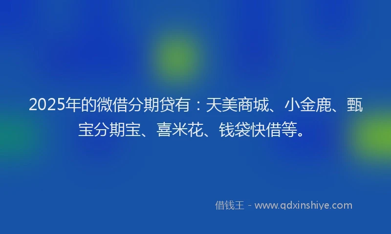 2025年的微借分期贷有：天美商城、小金鹿、甄宝分期宝、喜米花、钱袋快借等。