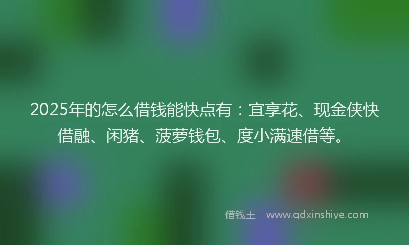 2025年的怎么借钱能快点有：宜享花、现金侠快借融、闲猪、菠萝钱包、度小满速借等。