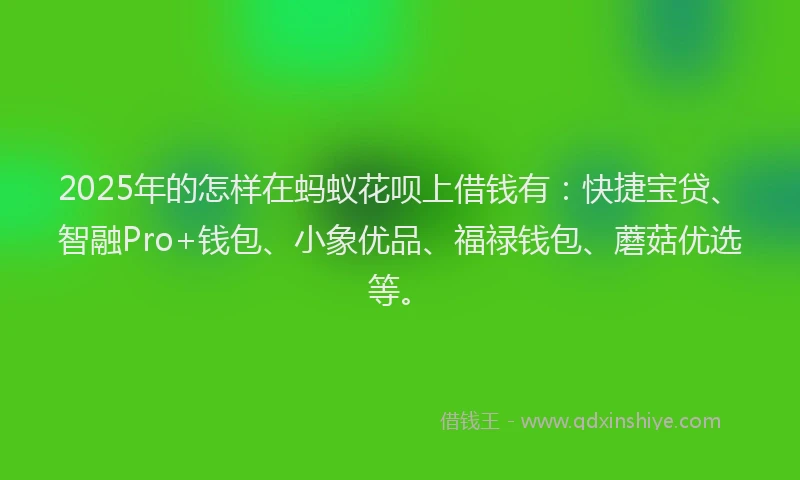 2025年的怎样在蚂蚁花呗上借钱有：快捷宝贷、智融Pro+钱包、小象优品、福禄钱包、蘑菇优选等。