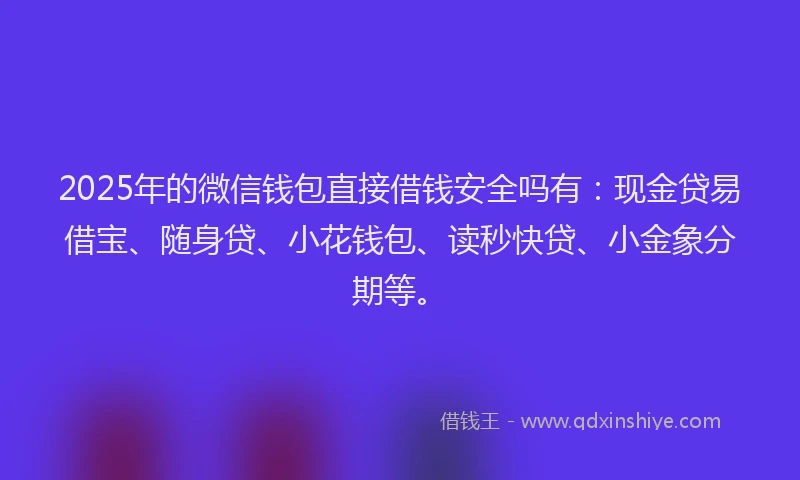 2025年的微信钱包直接借钱安全吗有：现金贷易借宝、随身贷、小花钱包、读秒快贷、小金象分期等。
