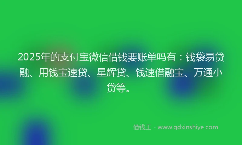 2025年的支付宝微信借钱要账单吗有：钱袋易贷融、用钱宝速贷、星辉贷、钱速借融宝、万通小贷等。