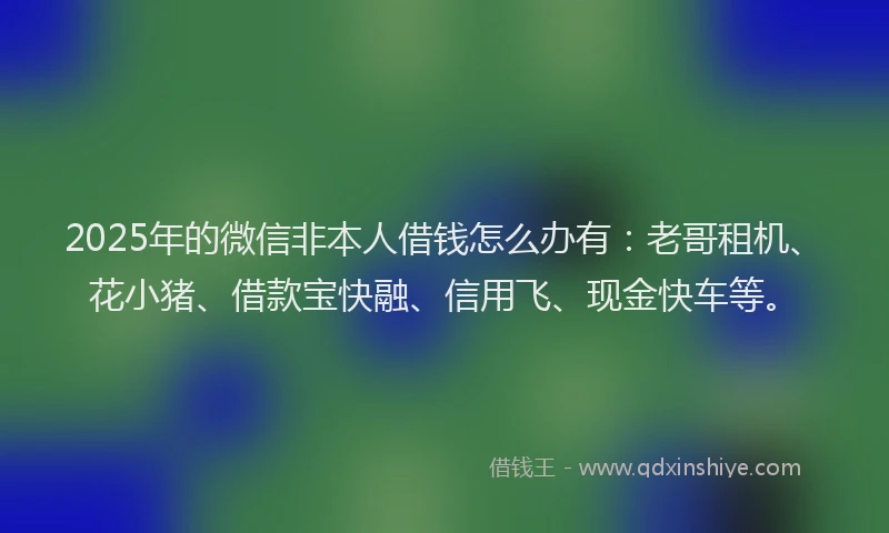 2025年的微信非本人借钱怎么办有：老哥租机、花小猪、借款宝快融、信用飞、现金快车等。