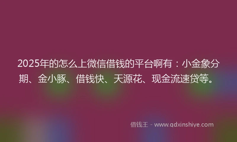 2025年的怎么上微信借钱的平台啊有：小金象分期、金小豚、借钱快、天源花、现金流速贷等。