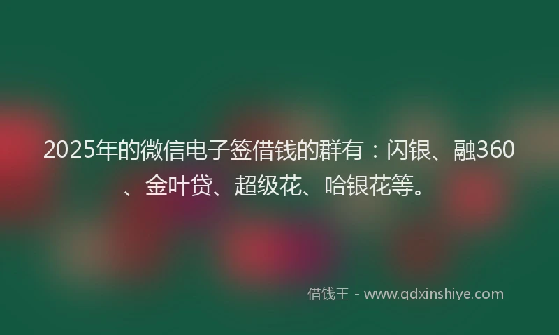 2025年的微信电子签借钱的群有：闪银、融360、金叶贷、超级花、哈银花等。