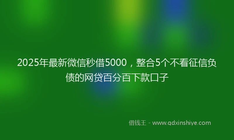 2025年最新微信秒借5000，整合5个不看征信负债的网贷百分百下款口子