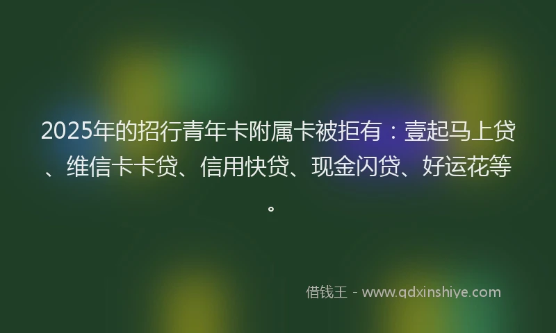2025年的招行青年卡附属卡被拒有：壹起马上贷、维信卡卡贷、信用快贷、现金闪贷、好运花等。