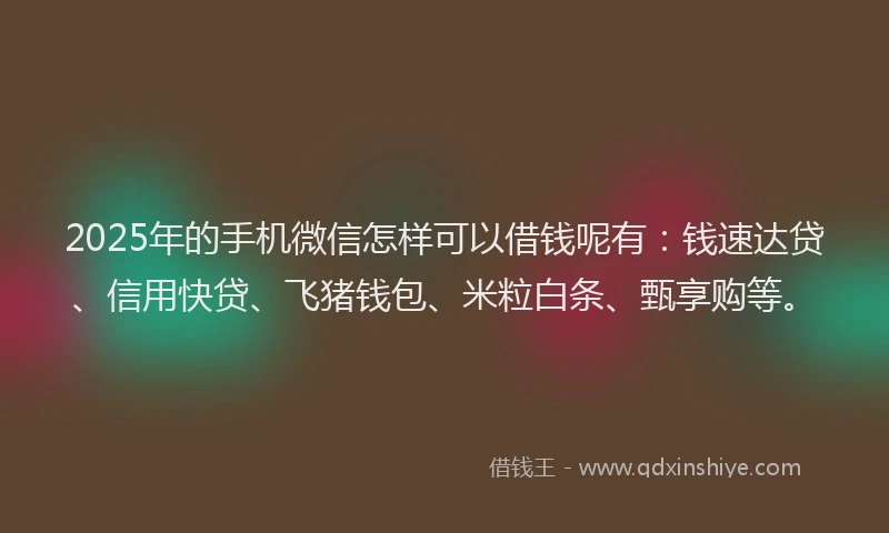2025年的手机微信怎样可以借钱呢有：钱速达贷、信用快贷、飞猪钱包、米粒白条、甄享购等。