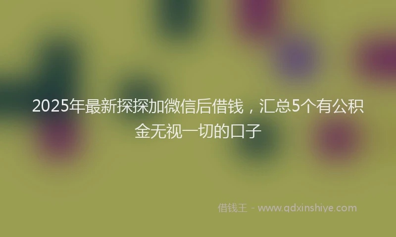 2025年最新探探加微信后借钱，汇总5个有公积金无视一切的口子