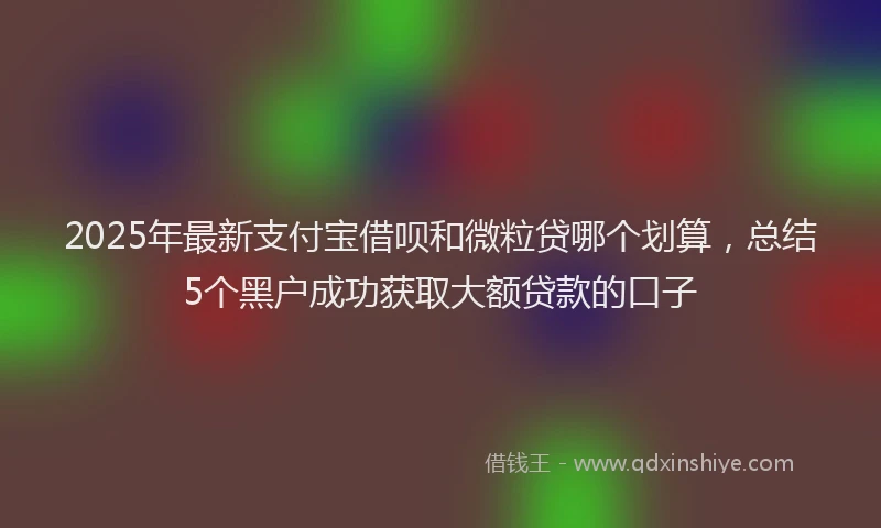 2025年最新支付宝借呗和微粒贷哪个划算，总结5个黑户成功获取大额贷款的口子