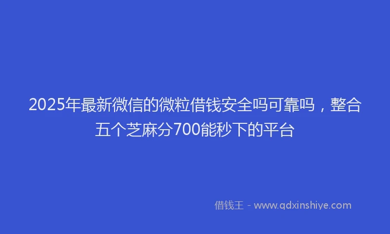 2025年最新微信的微粒借钱安全吗可靠吗，整合五个芝麻分700能秒下的平台