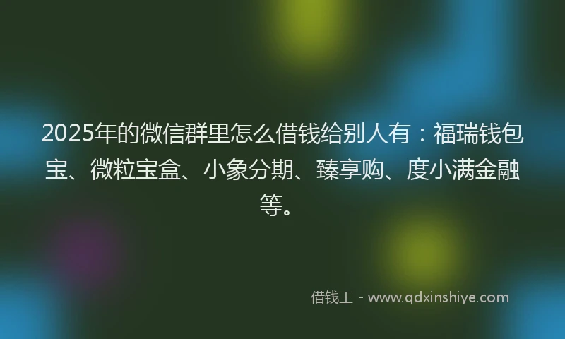 2025年的微信群里怎么借钱给别人有：福瑞钱包宝、微粒宝盒、小象分期、臻享购、度小满金融等。