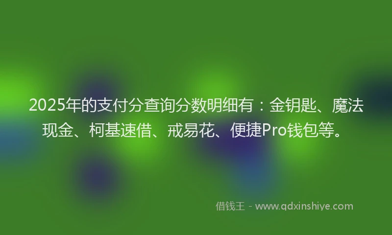 2025年的支付分查询分数明细有：金钥匙、魔法现金、柯基速借、戒易花、便捷Pro钱包等。
