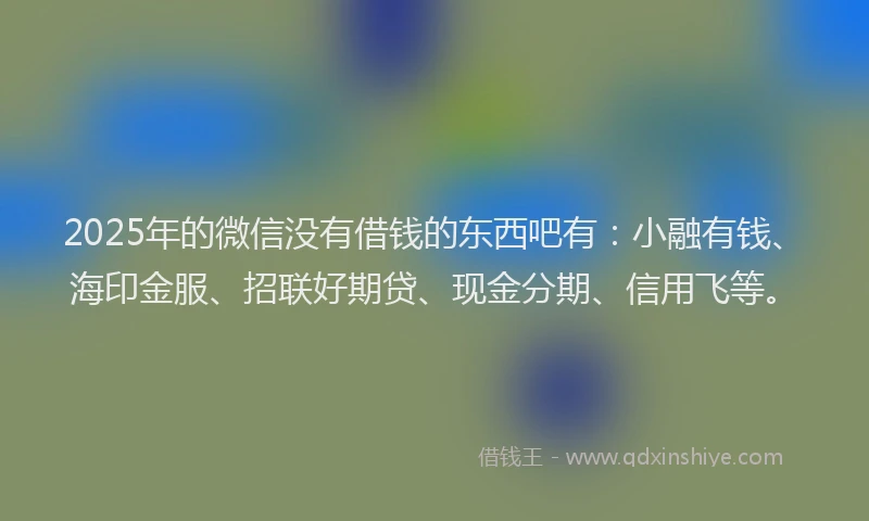 2025年的微信没有借钱的东西吧有：小融有钱、海印金服、招联好期贷、现金分期、信用飞等。