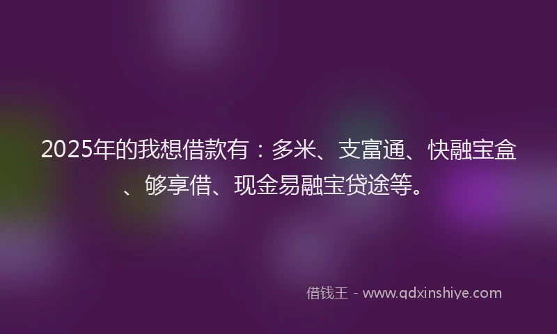 2025年的我想借款有：多米、支富通、快融宝盒、够享借、现金易融宝贷途等。