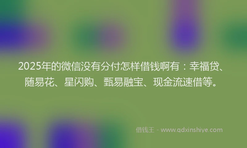2025年的微信没有分付怎样借钱啊有：幸福贷、随易花、星闪购、甄易融宝、现金流速借等。