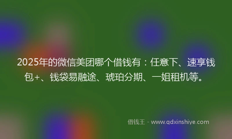2025年的微信美团哪个借钱有：任意下、速享钱包+、钱袋易融途、琥珀分期、一姐租机等。