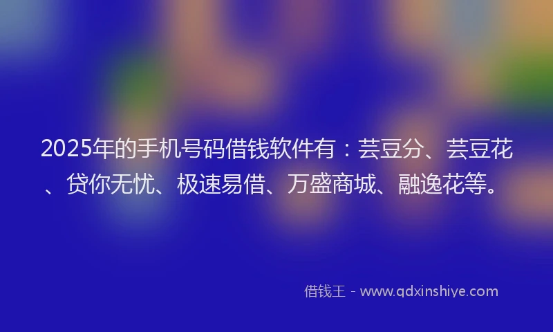 2025年的手机号码借钱软件有：芸豆分、芸豆花、贷你无忧、极速易借、万盛商城、融逸花等。