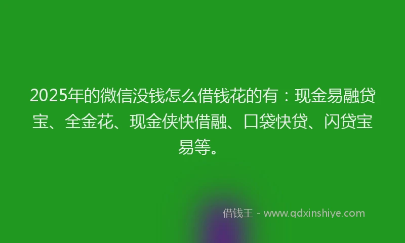 2025年的微信没钱怎么借钱花的有：现金易融贷宝、全金花、现金侠快借融、口袋快贷、闪贷宝易等。