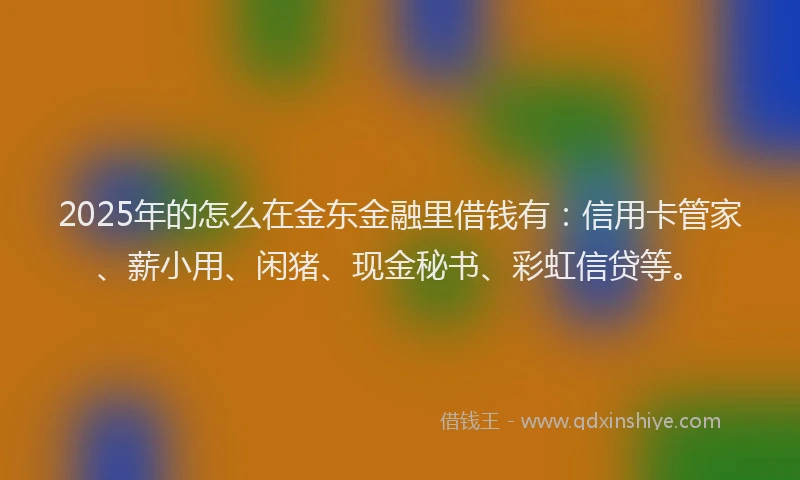 2025年的怎么在金东金融里借钱有：信用卡管家、薪小用、闲猪、现金秘书、彩虹信贷等。