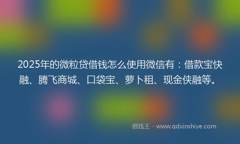2025年的微粒贷借钱怎么使用微信有：借款宝快融、腾飞商城、口袋宝、萝卜租、现金侠融等。