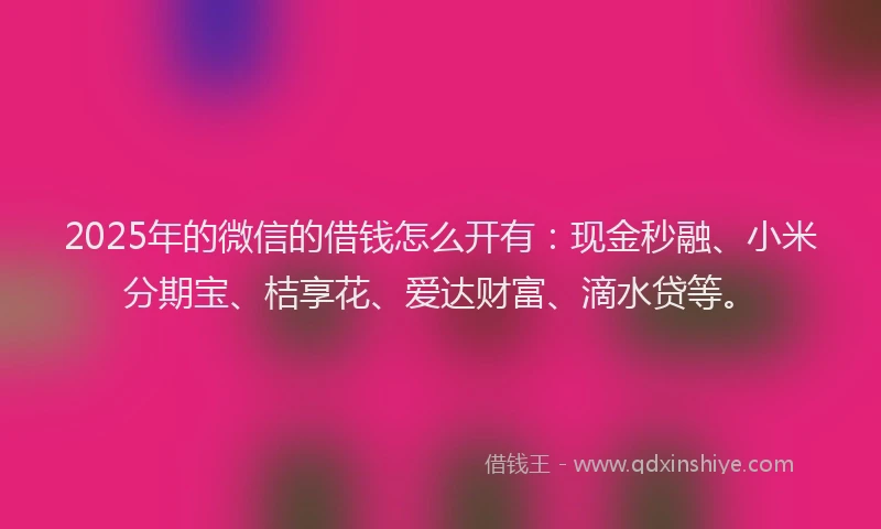 2025年的微信的借钱怎么开有：现金秒融、小米分期宝、桔享花、爱达财富、滴水贷等。