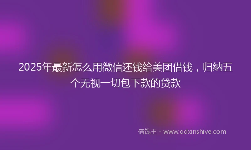 2025年最新怎么用微信还钱给美团借钱，归纳五个无视一切包下款的贷款