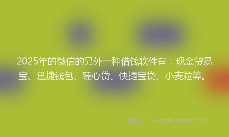 2025年的微信的另外一种借钱软件有：现金贷易宝、迅捷钱包、臻心贷、快捷宝贷、小麦粒等。