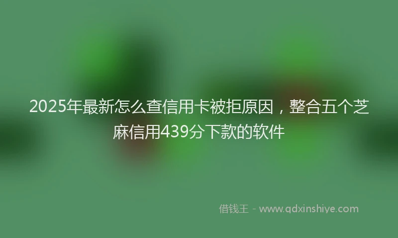 2025年最新怎么查信用卡被拒原因，整合五个芝麻信用439分下款的软件