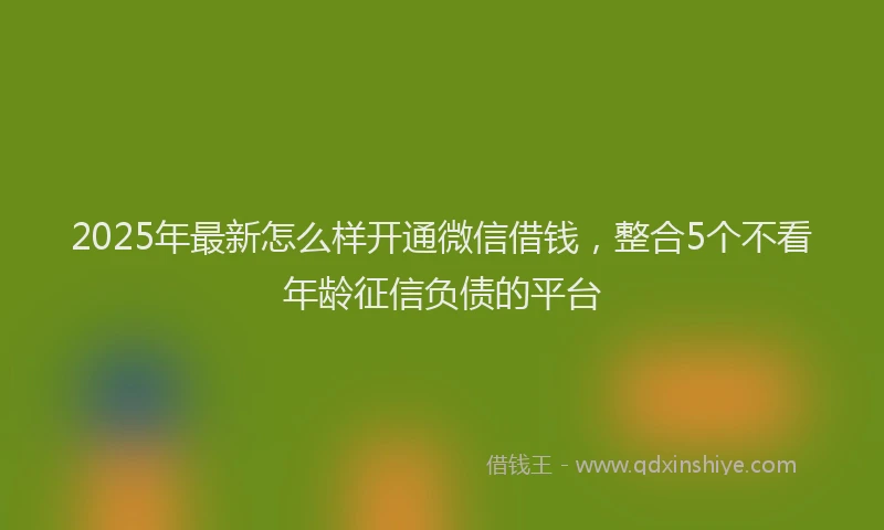 2025年最新怎么样开通微信借钱，整合5个不看年龄征信负债的平台