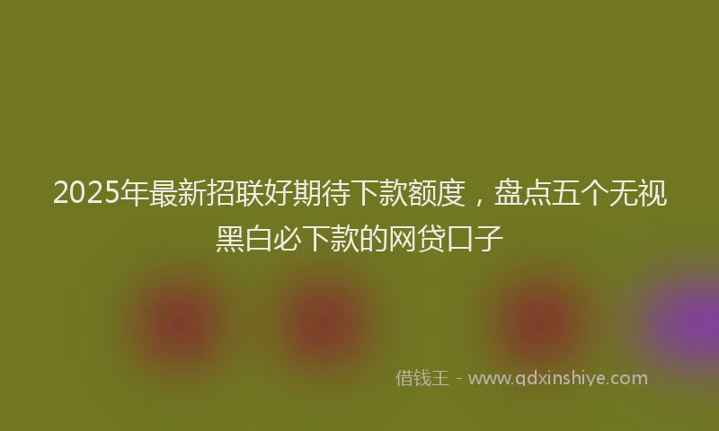 2025年最新招联好期待下款额度，盘点五个无视黑白必下款的网贷口子