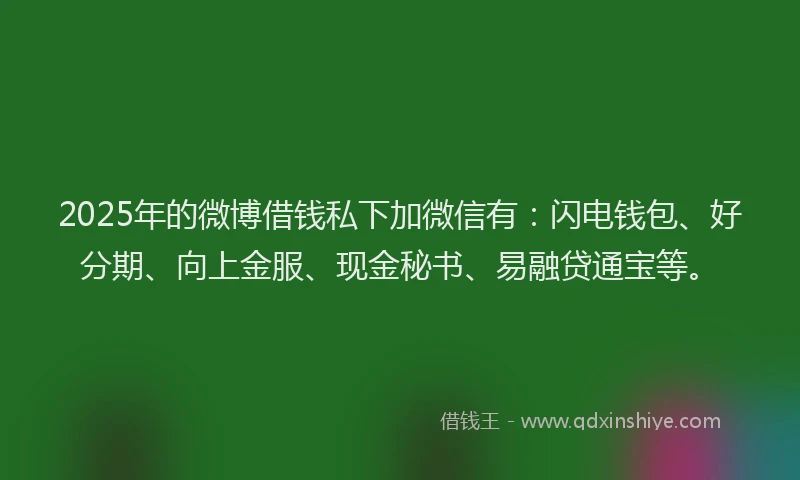 2025年的微博借钱私下加微信有：闪电钱包、好分期、向上金服、现金秘书、易融贷通宝等。