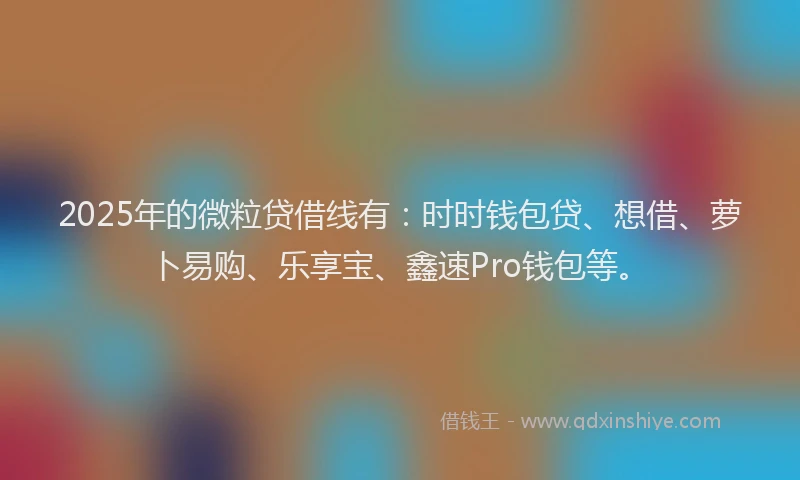 2025年的微粒贷借线有：时时钱包贷、想借、萝卜易购、乐享宝、鑫速Pro钱包等。