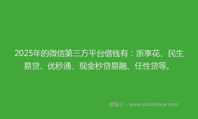 2025年的微信第三方平台借钱有：浙享花、民生易贷、优秒通、现金秒贷易融、任性贷等。