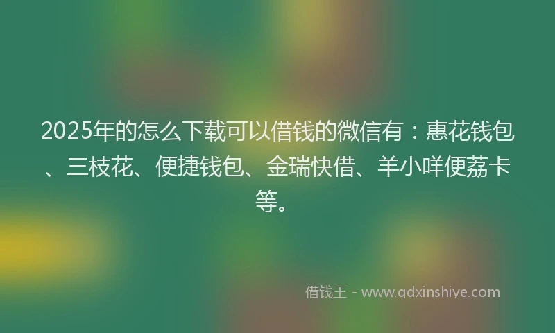 2025年的怎么下载可以借钱的微信有：惠花钱包、三枝花、便捷钱包、金瑞快借、羊小咩便荔卡等。