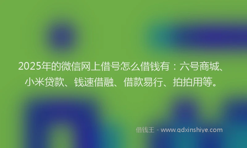 2025年的微信网上借号怎么借钱有：六号商城、小米贷款、钱速借融、借款易行、拍拍用等。