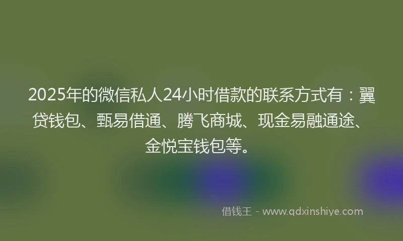 2025年的微信私人24小时借款的联系方式有：翼贷钱包、甄易借通、腾飞商城、现金易融通途、金悦宝钱包等。