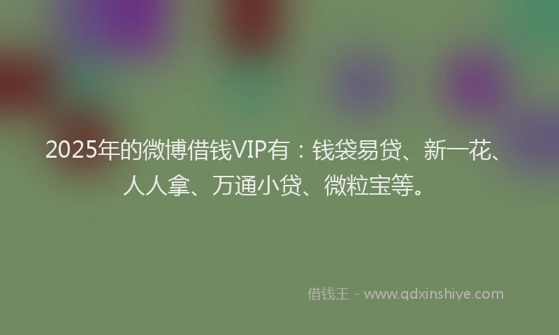 2025年的微博借钱VIP有：钱袋易贷、新一花、人人拿、万通小贷、微粒宝等。