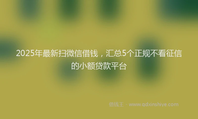 2025年最新扫微信借钱，汇总5个正规不看征信的小额贷款平台