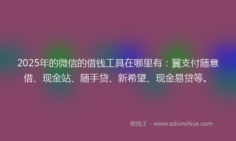 2025年的微信的借钱工具在哪里有：翼支付随意借、现金站、随手贷、新希望、现金易贷等。