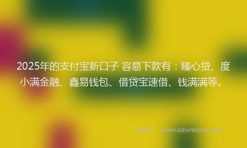2025年的支付宝新口子 容易下款有：臻心贷、度小满金融、鑫易钱包、借贷宝速借、钱满满等。