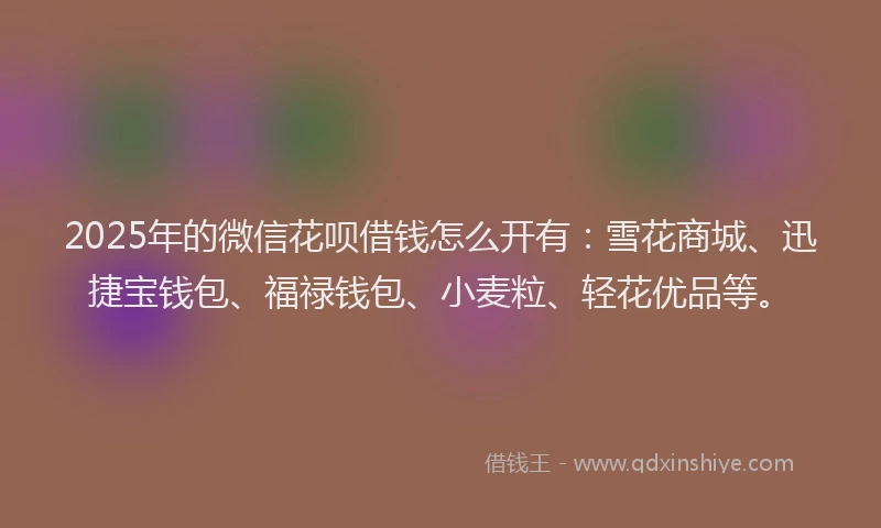 2025年的微信花呗借钱怎么开有：雪花商城、迅捷宝钱包、福禄钱包、小麦粒、轻花优品等。