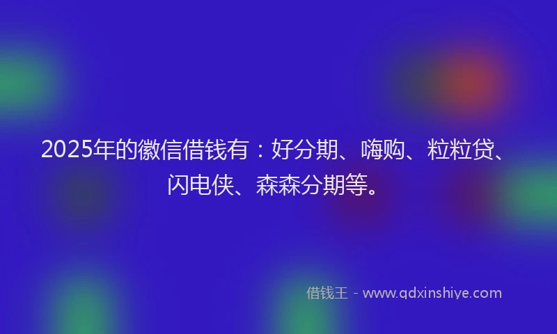 2025年的徽信借钱有：好分期、嗨购、粒粒贷、闪电侠、森森分期等。