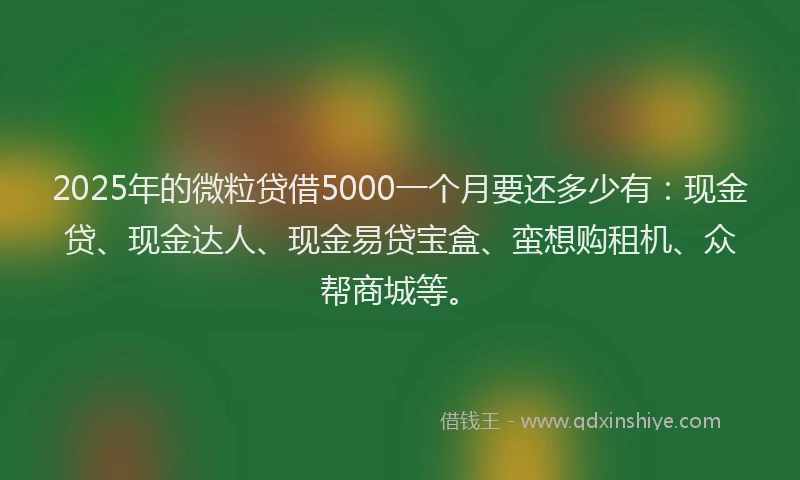 2025年的微粒贷借5000一个月要还多少有：现金贷、现金达人、现金易贷宝盒、蛮想购租机、众帮商城等。