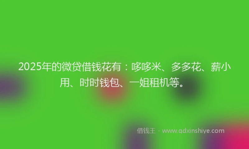 2025年的微贷借钱花有：哆哆米、多多花、薪小用、时时钱包、一姐租机等。