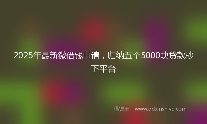 2025年最新微借钱申请，归纳五个5000块贷款秒下平台
