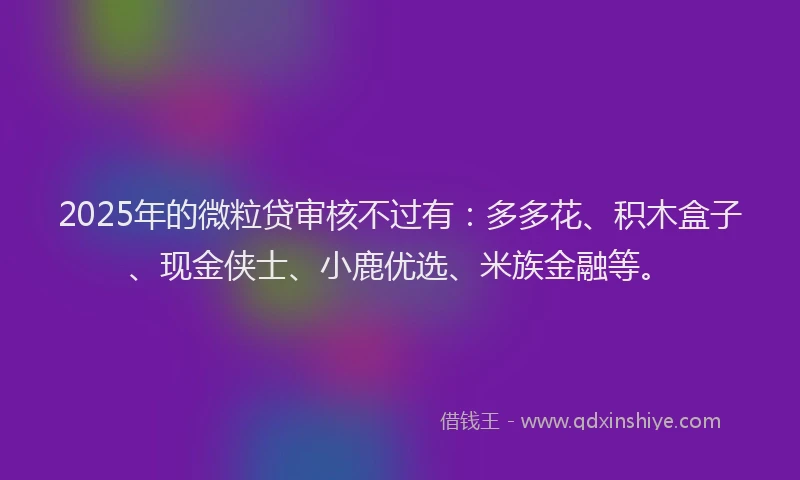 2025年的微粒贷审核不过有：多多花、积木盒子、现金侠士、小鹿优选、米族金融等。