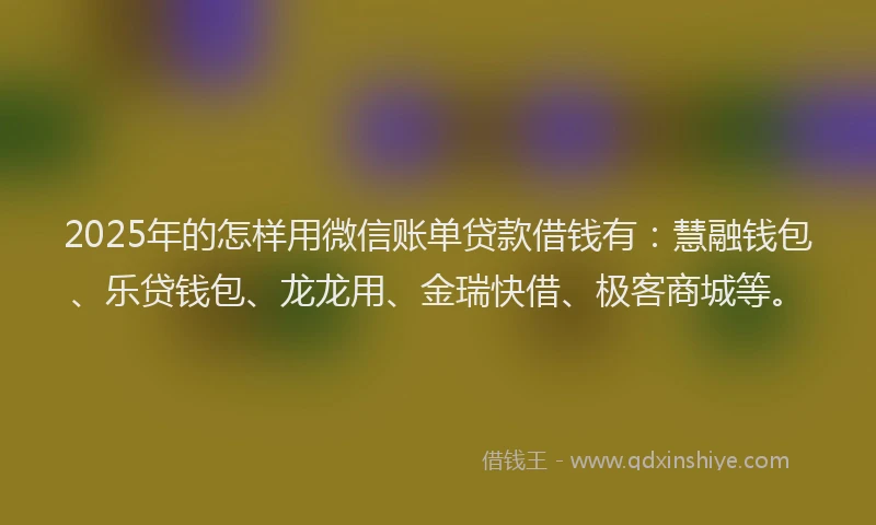 2025年的怎样用微信账单贷款借钱有：慧融钱包、乐贷钱包、龙龙用、金瑞快借、极客商城等。