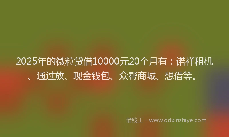 2025年的微粒贷借10000元20个月有：诺祥租机、通过放、现金钱包、众帮商城、想借等。