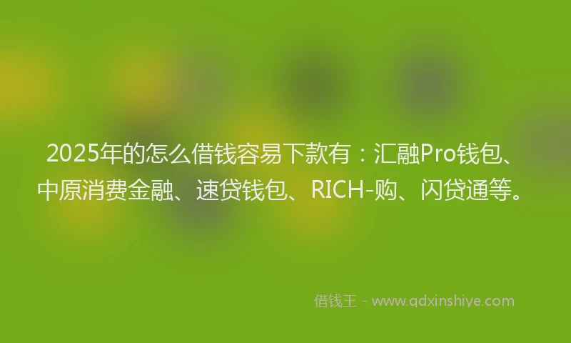 2025年的怎么借钱容易下款有：汇融Pro钱包、中原消费金融、速贷钱包、RICH-购、闪贷通等。
