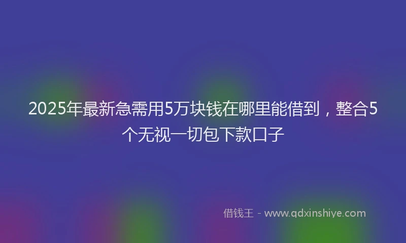 2025年最新急需用5万块钱在哪里能借到，整合5个无视一切包下款口子